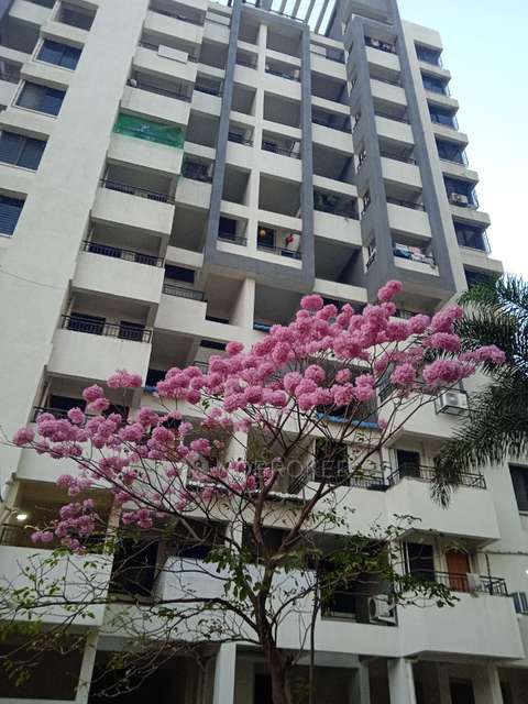 1 BHK Flat In Rudra Palace for Rent  In Wagholi
