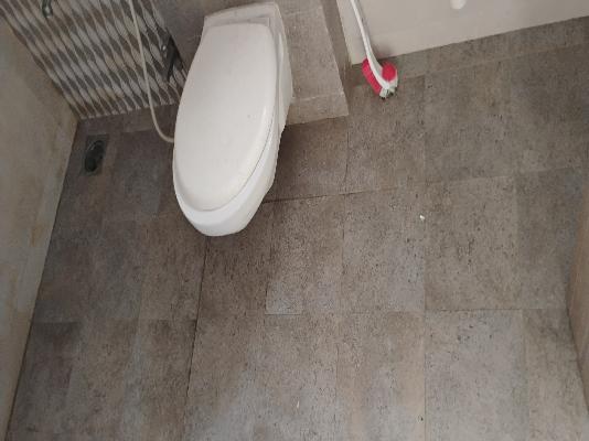 3 BHK Flat In Little Earth Masulkar City for Rent  In Ravet