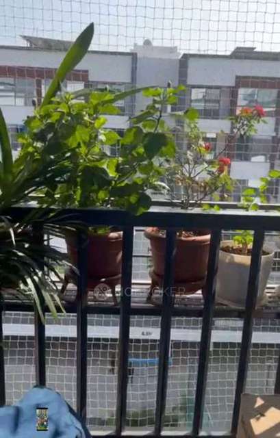 1 BHK Flat In Easterlia for Rent  In Lohegaon