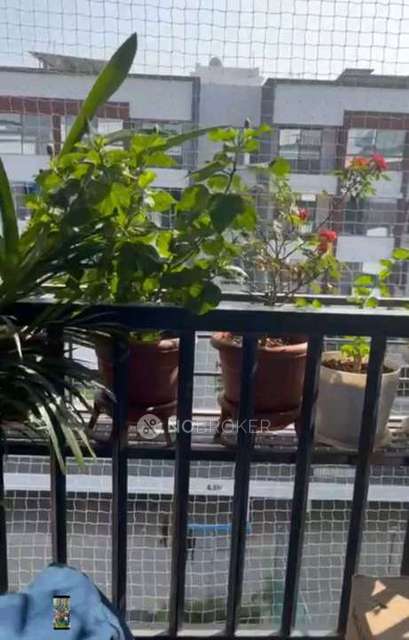 1 BHK Flat In Easterlia for Rent  In Lohegaon