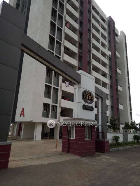 1 BHK Flat In  Cozy Life Housing Society For Sale  In Wagholi