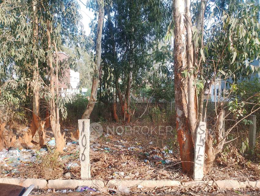 Plot For Sale  In N Nagenahalli