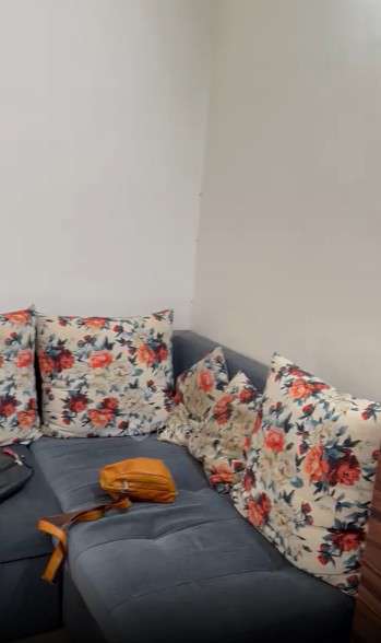 2 BHK Flat In Rk Lunkad Nisarg Akash for Rent  In Nisarg Akash Society