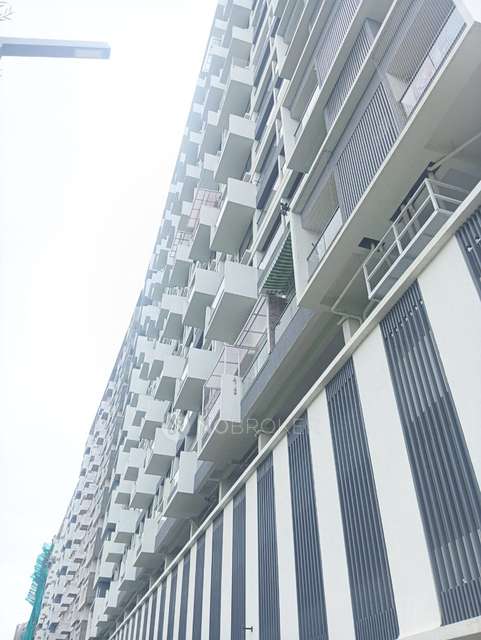 3 BHK Flat In Majestique Signature Towers for Rent  In Baner