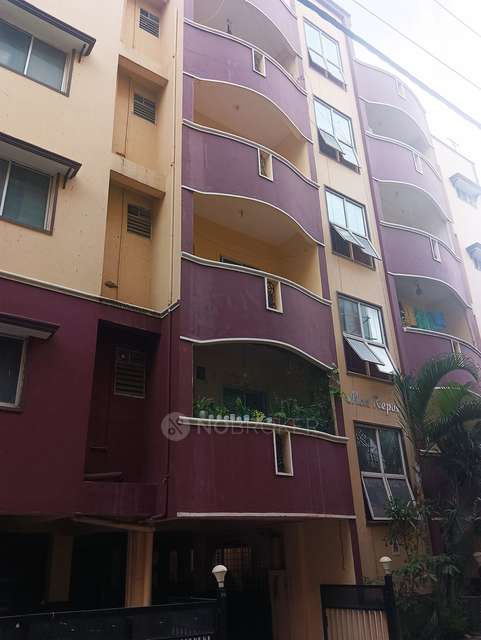 2 BHK Flat In Mon Repos for Rent  In Malleshpalya