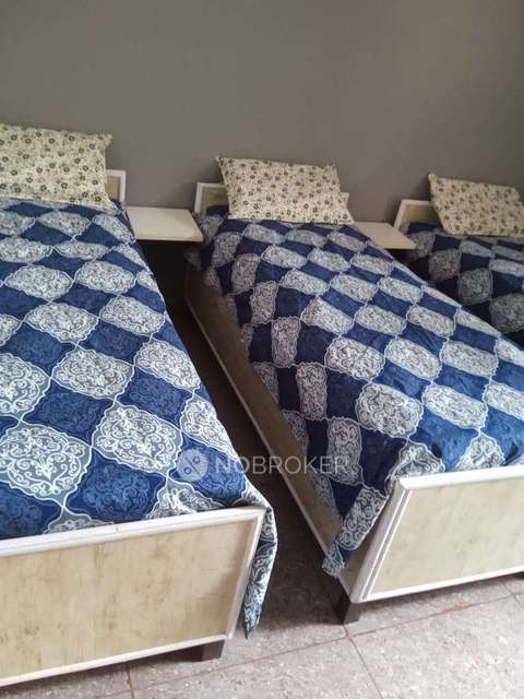 PG for Boys in Sector 144