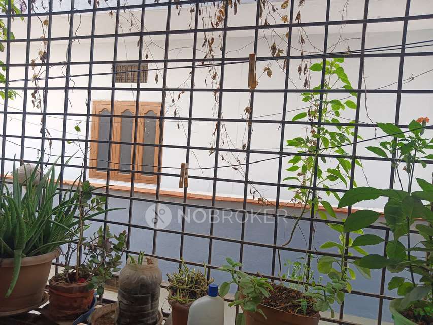 3 BHK Flat In Ss Aditya Sreenadh For Sale  In Raghavendra Colony