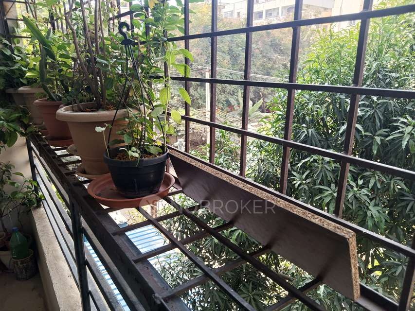 3 BHK Flat In Ss Aditya Sreenadh For Sale  In Raghavendra Colony