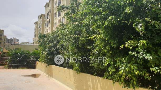 3 BHK Flat In Gm Infinite Ecity, Electronics City Phase 1 for Rent  In Electronic City