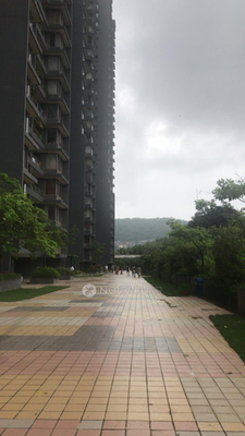 3 BHK Flat In The Address for Rent  In Ghatkopar West