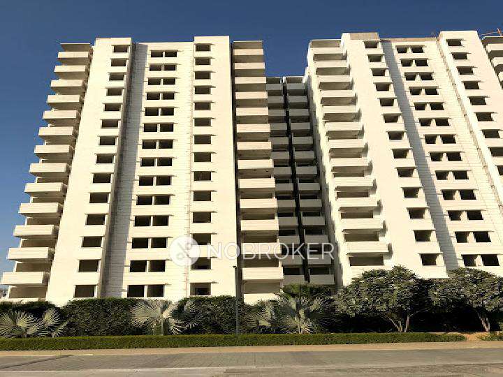 2 BHK Flat In Tulip Lemon for Rent  In Sector-69