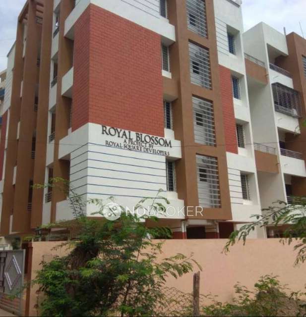 1 BHK Flat In Realnest Royal Blossom for Rent  In Loni Kalbhor