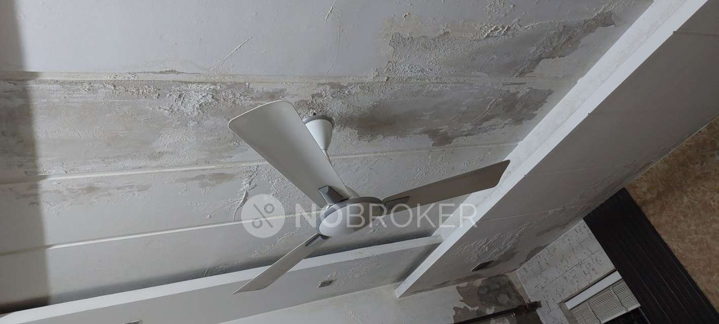 4+ BHK Flat For Sale  In Preet Vihar 