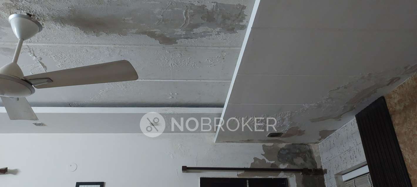 4+ BHK Flat For Sale  In Preet Vihar 