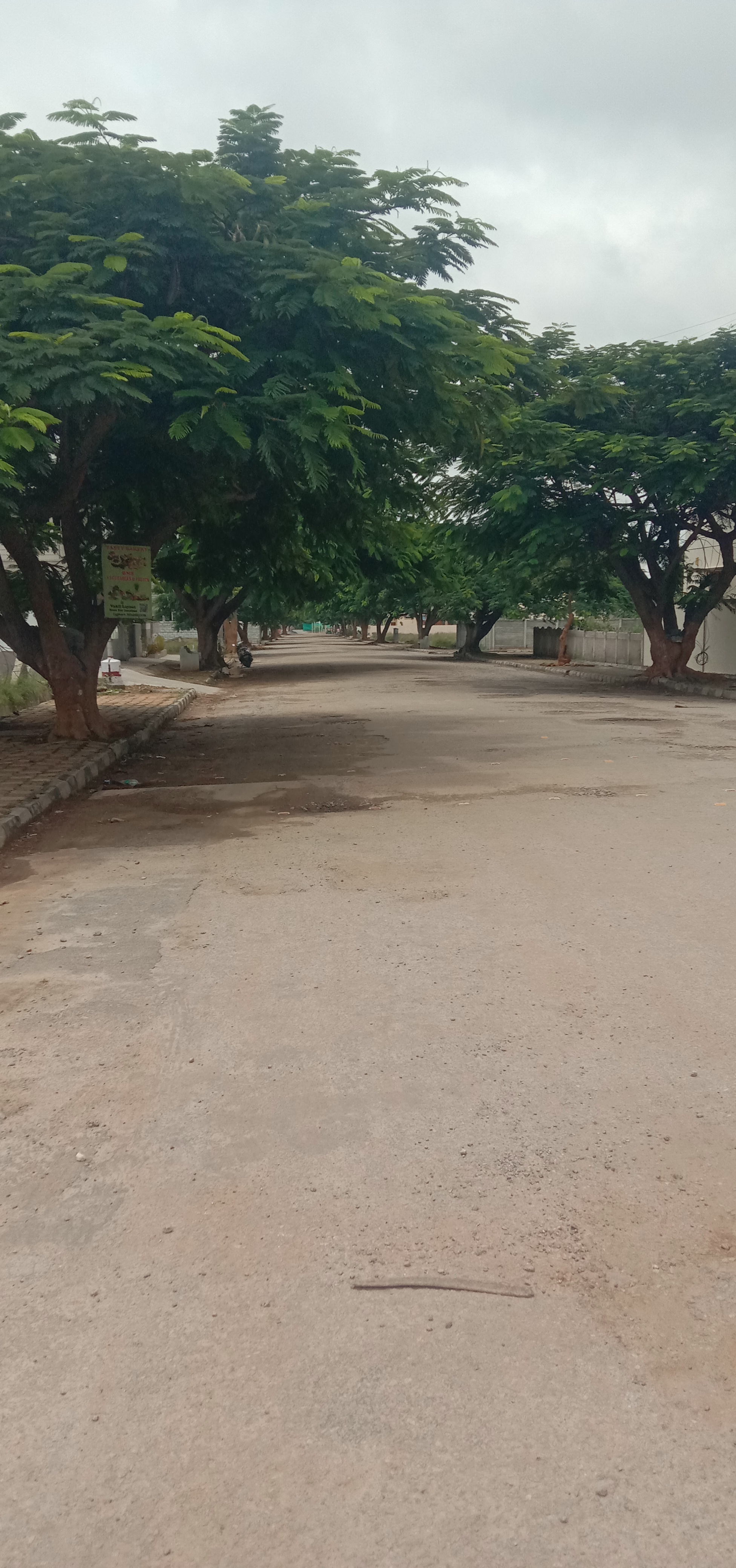 Vakil Whispering Woods Residences 2