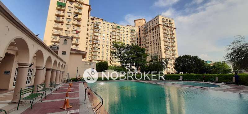 3 BHK Flat In Dlf Oakwood Estate for Rent  In Sector 25