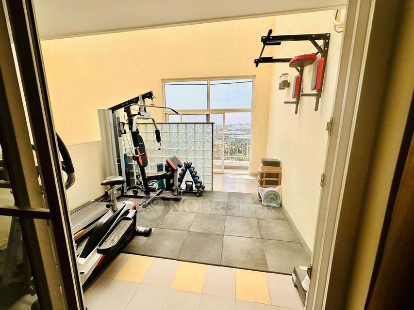 4+ BHK Flat In Spectra Cypress for Rent  In Spectra Cypress