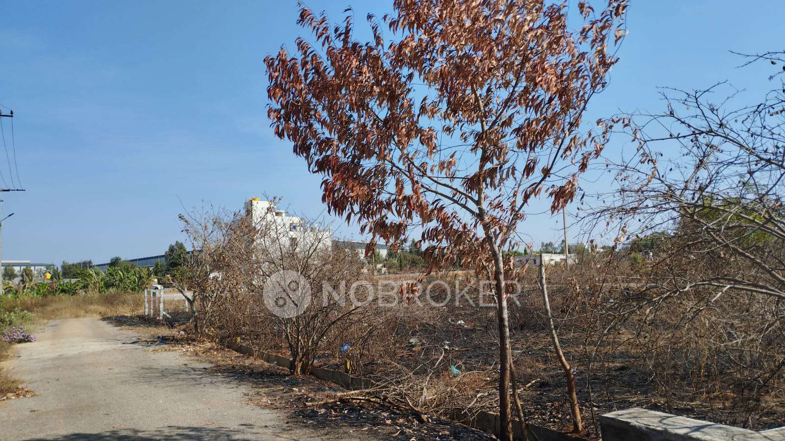 Plot For Sale  In The Aircraft Employees Co-operative Society Ltd. In Marsandra