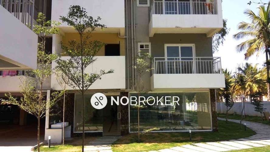 1 BHK Flat for Rent  In Mahipalpur 