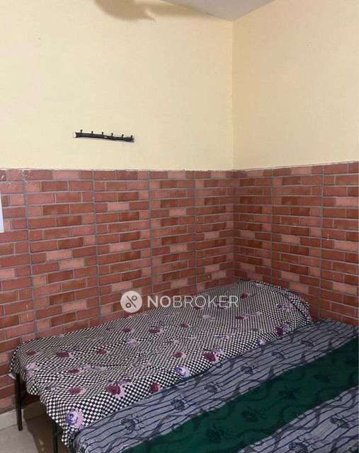 PG for Boys in  Sector 16, 