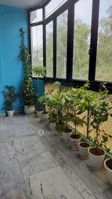 2 BHK Flat In Roof Rights For Sale  In Mayur Vihar