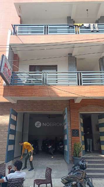 PG for Anyone in Sector 18