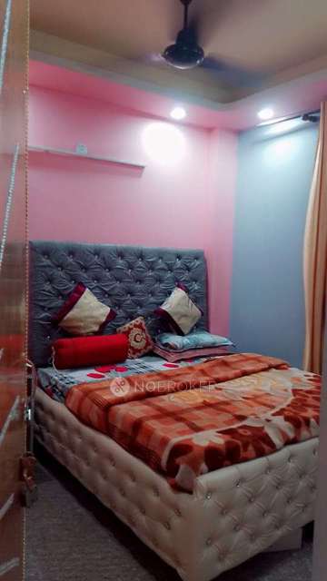 PG for Anyone in Defence Colony