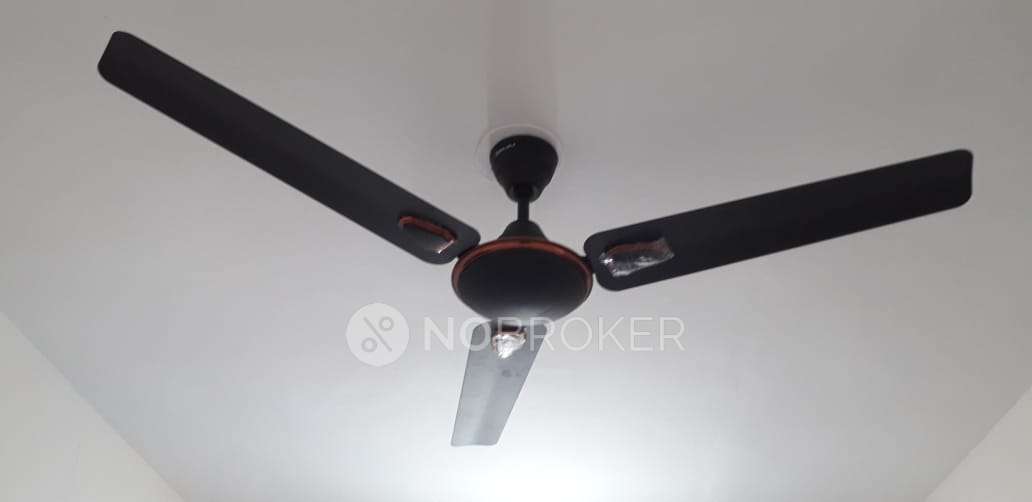 2 BHK Flat In Tara Alicia for Rent In Kunjirwadi