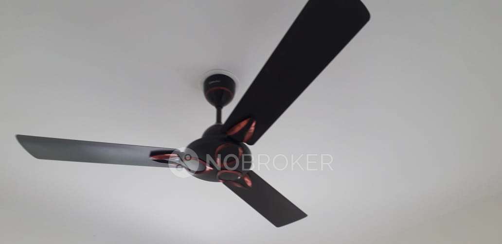 2 BHK Flat In Tara Alicia for Rent In Kunjirwadi