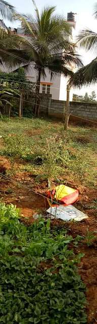 Plot For Sale  In Subramanya In Vg55+9c3, Bengaluru, Rachanamadu, Karnataka 560062, India