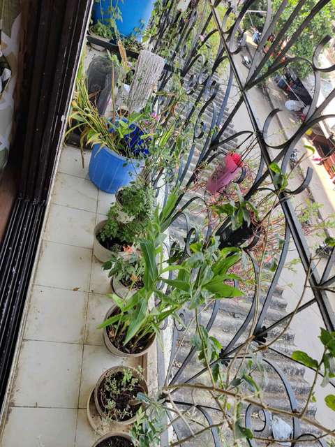 2 BHK Flat In Swarn Hans Co-op Hsg Limited, Sriprastha Complex, Nalasopara Wesr For Sale  In Swarn Hans Tower