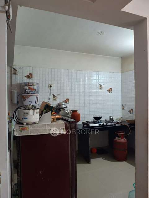1 BHK Flat In Daffodils Society for Rent  In Somatne Phata