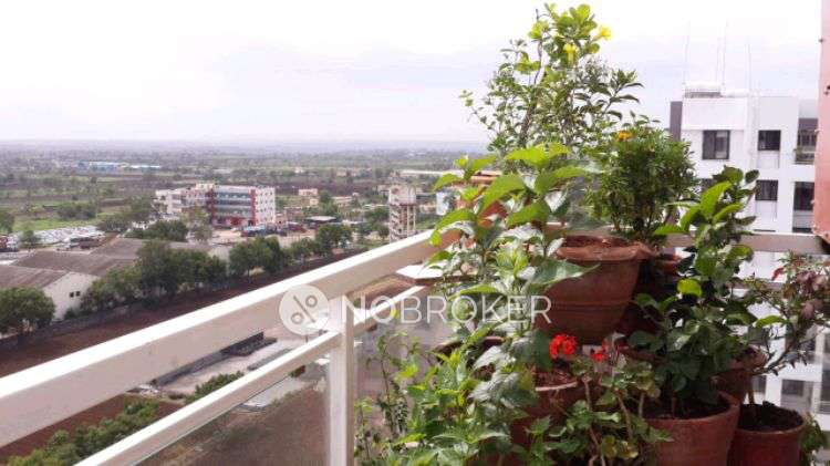 2 BHK Flat In Venkatesh Oxy Valley Phase 2 for Rent  In Wagholi