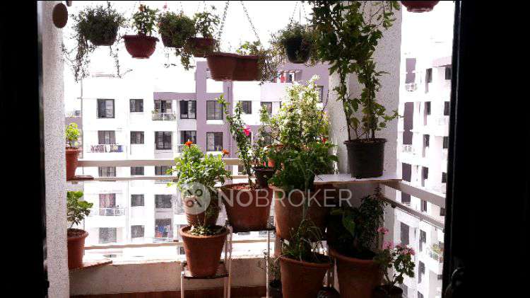2 BHK Flat In Venkatesh Oxy Valley Phase 2 for Rent  In Wagholi
