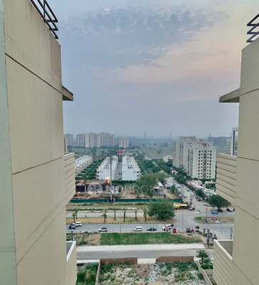 2 BHK Flat In Tulip Lemon for Rent  In Sector 69