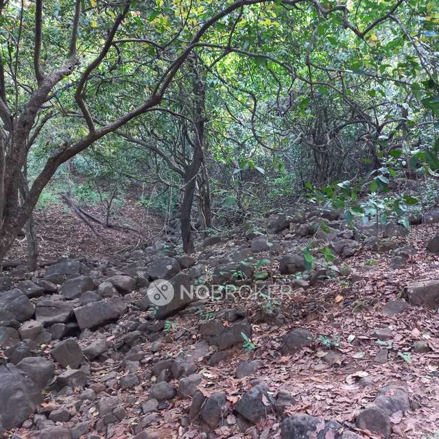 1 BHK Flat In Tulsi Dham For Sale  In Badlapur East