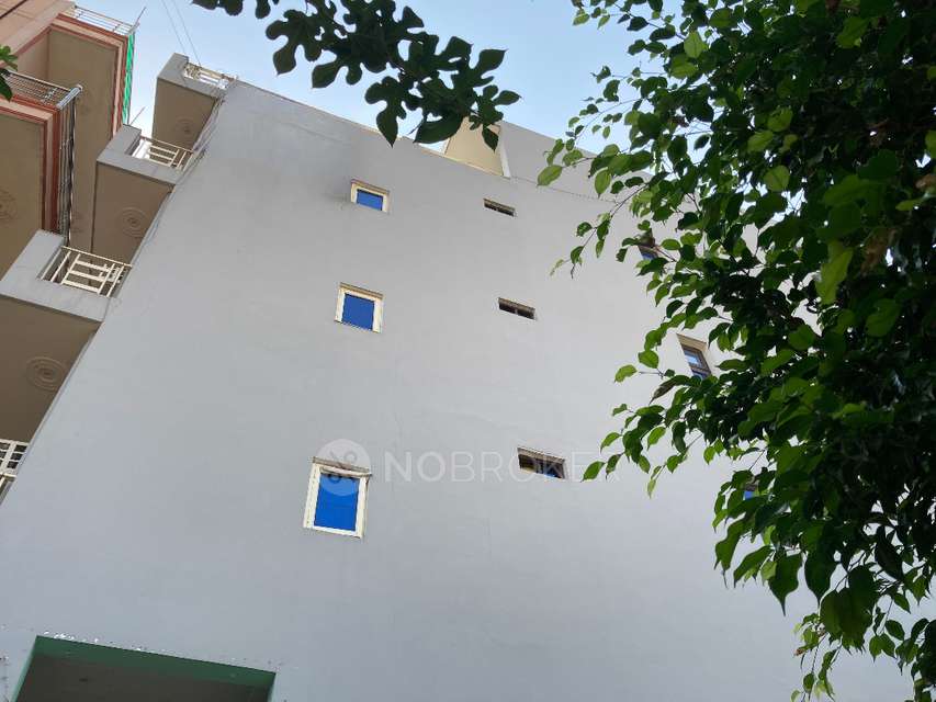 PG for Boys in Sector 46