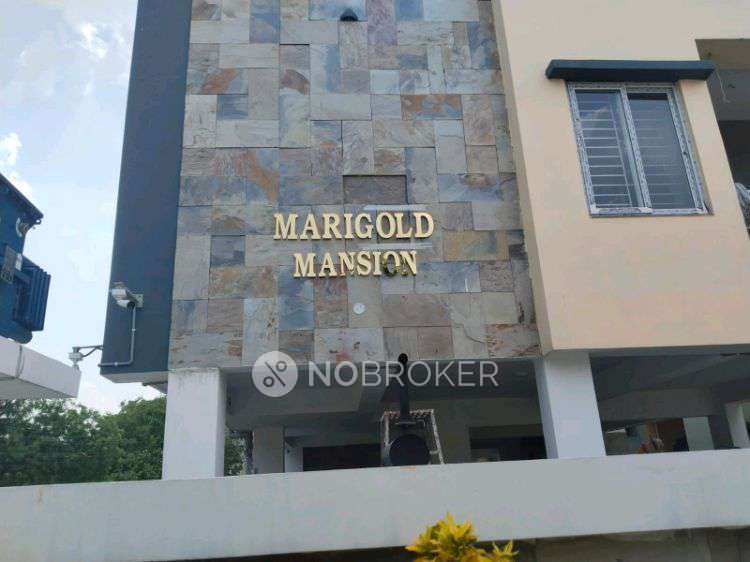 3 BHK Flat In Marigold Mansion For Sale  In Hastinapuram