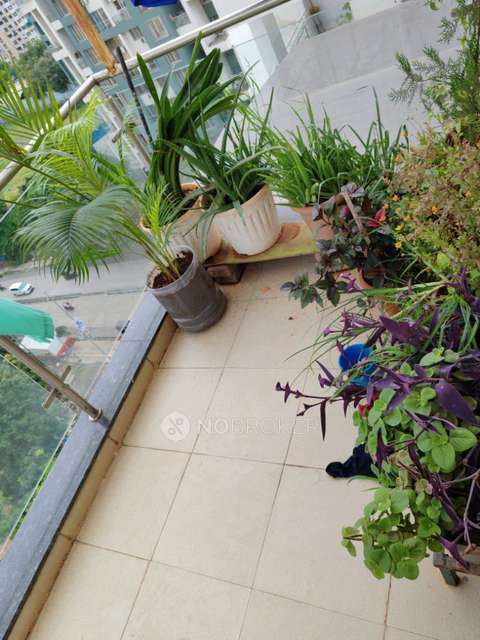 2 BHK Flat In Shubh Augusta Society Kharadi for Rent  In Forest County Gate No 3