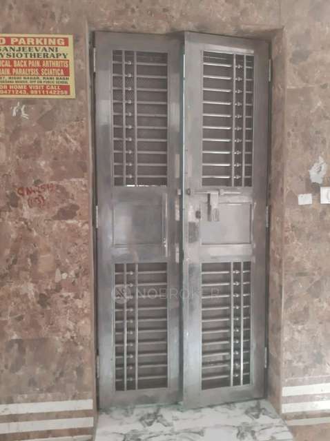 PG for Anyone in  Pitampura