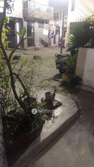 3 BHK Flat For Sale  In Malka Ganj