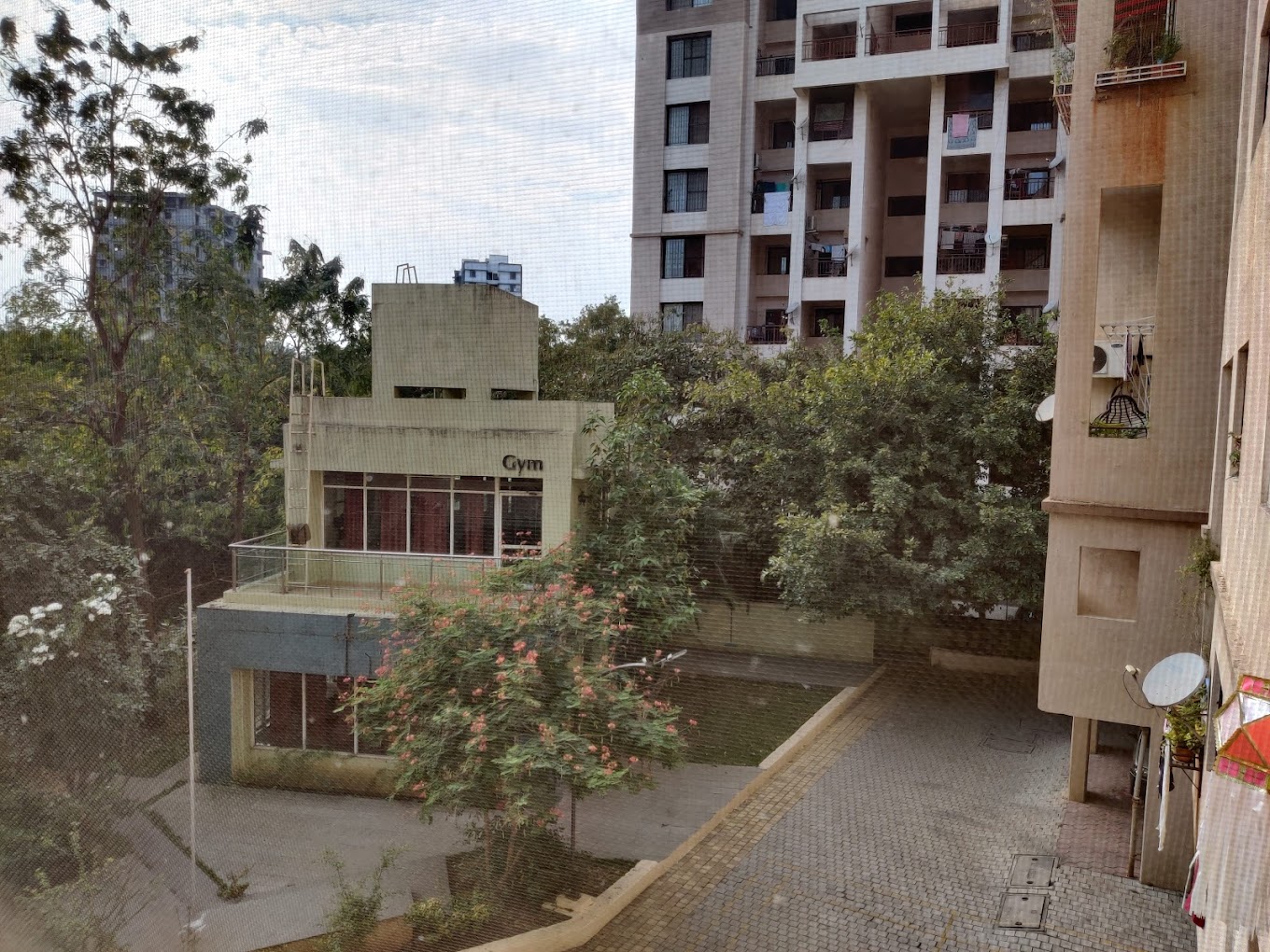 B.U.Bhandari Everglade