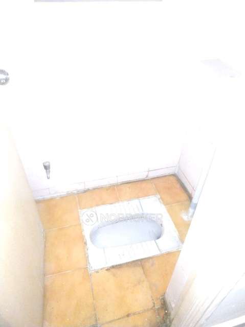 1 BHK Flat In Fortune East Society for Rent  In Kharadi