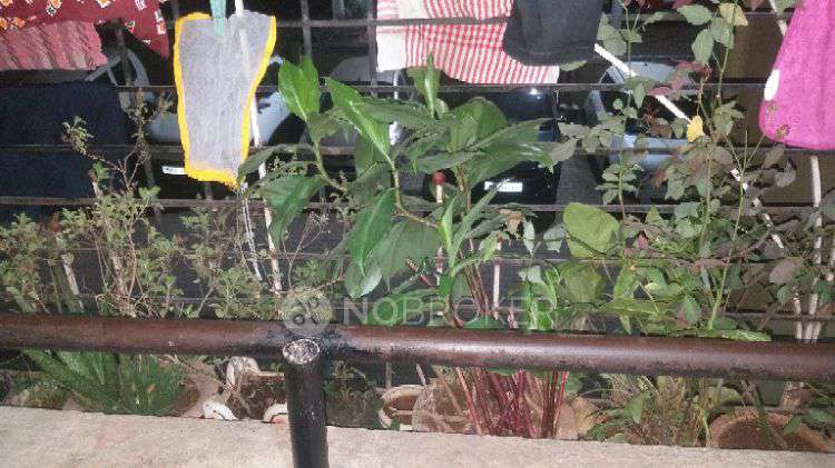 1 BHK Flat In Apartment for Rent  In Nigdi