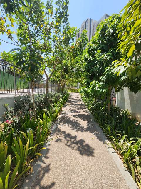 2 BHK Flat In Godrej Nurture  For Sale  In Mamurdi