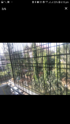 1 BHK Flat In Sneha Society for Rent  In Karve Nagar