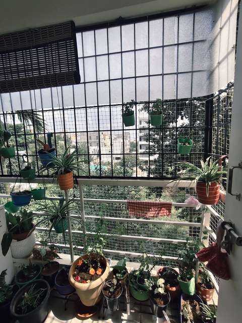 3 BHK Flat In Cdr Ixora For Sale  In Nri Layout