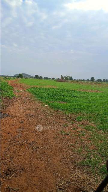 Plot For Sale  In Nagarkurnool