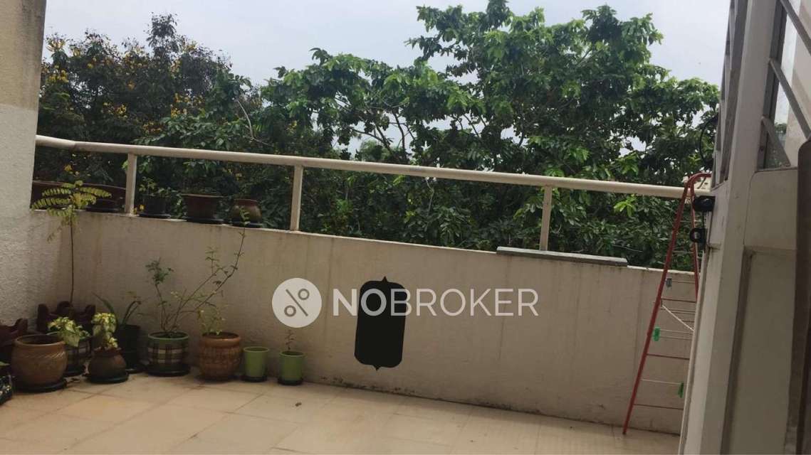 2 BHK Flat In Rahul Co-op Society  for Rent  In Koregoan Park