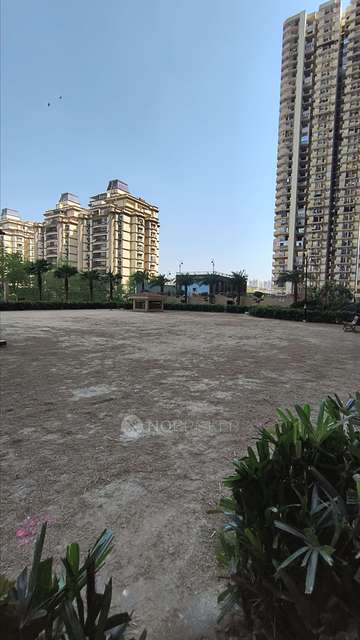2 BHK Flat In Saya Gold Avenue For Sale  In Indirapuram